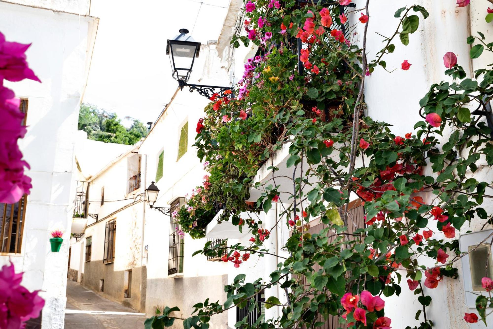 Alpujarra Relax Carataunas المظهر الخارجي الصورة